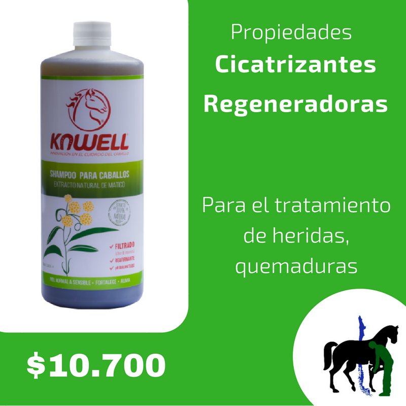 LosPingosLtda's tweet photo. #Shampoo #Kawell #Matico #Drago #Caballos #Equinos #Propiedades #Cicatrizantes #Regeneradoras #Pelo #Graso #Caspa #Psoriasis #FarmaciaVeterinaria https://t.co/ArzmPx9hPH
