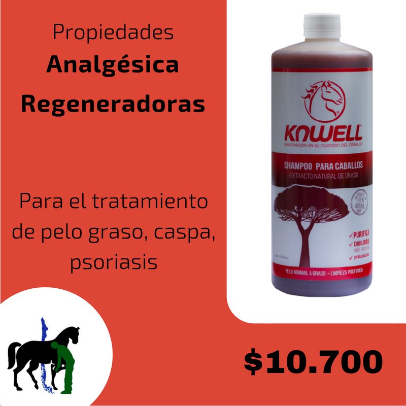 LosPingosLtda's tweet photo. #Shampoo #Kawell #Matico #Drago #Caballos #Equinos #Propiedades #Cicatrizantes #Regeneradoras #Pelo #Graso #Caspa #Psoriasis #FarmaciaVeterinaria https://t.co/ArzmPx9hPH
