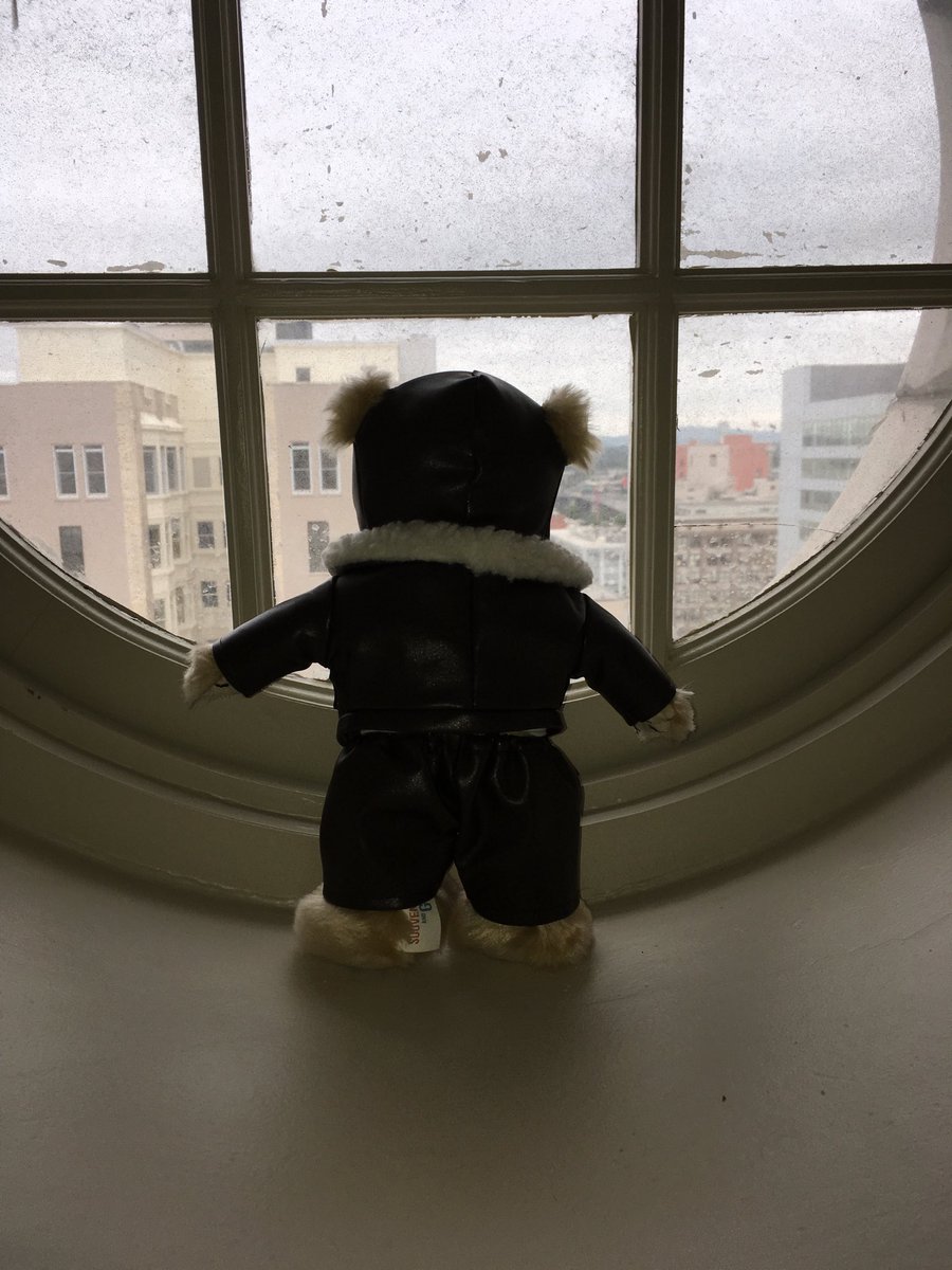 filemot's tweet photo. It’s a porthole in Portland but I’m not sure it’s a plane though #flydelegate grounded https://t.co/CTcNGAtZ6y