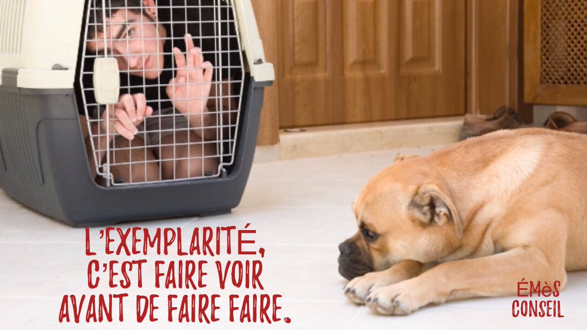 Une des clés du management… Émès Conseil #formation #management