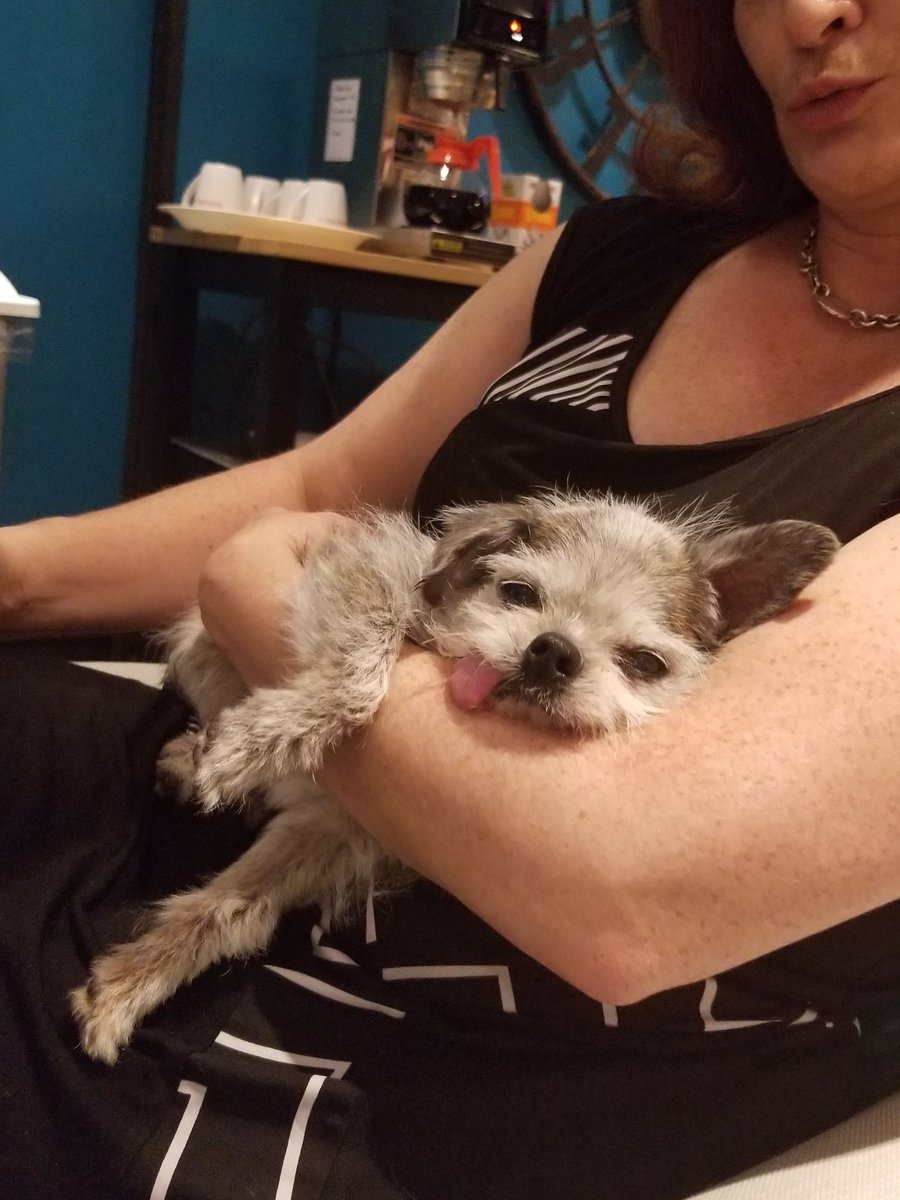 We are live on <a href="/rogersottawa22/">Rogers tv</a> <a href="/rogersdaytime/">blank</a> in 5 minutes!! Luke is SUPER excited !!