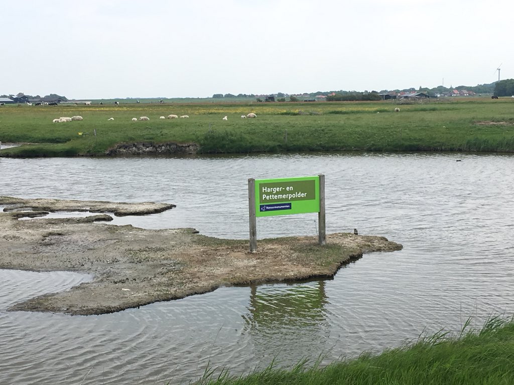 GreenDaan's tweet photo. Bezoekje gebracht aan #Harger en #Pettemerpolder prachtig weidegebied met steltlopers kluut en tureluur #natuurmonumenten https://t.co/A06rYixsBg