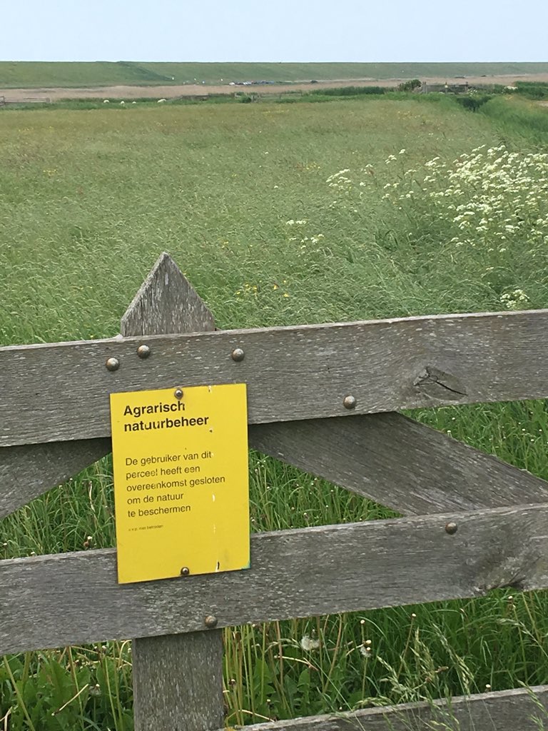 GreenDaan's tweet photo. Bezoekje gebracht aan #Harger en #Pettemerpolder prachtig weidegebied met steltlopers kluut en tureluur #natuurmonumenten https://t.co/A06rYixsBg