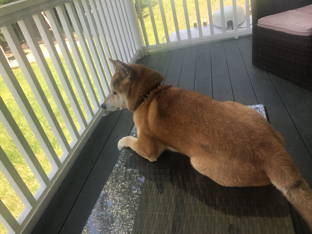 //why is he sitting on the glass table idk