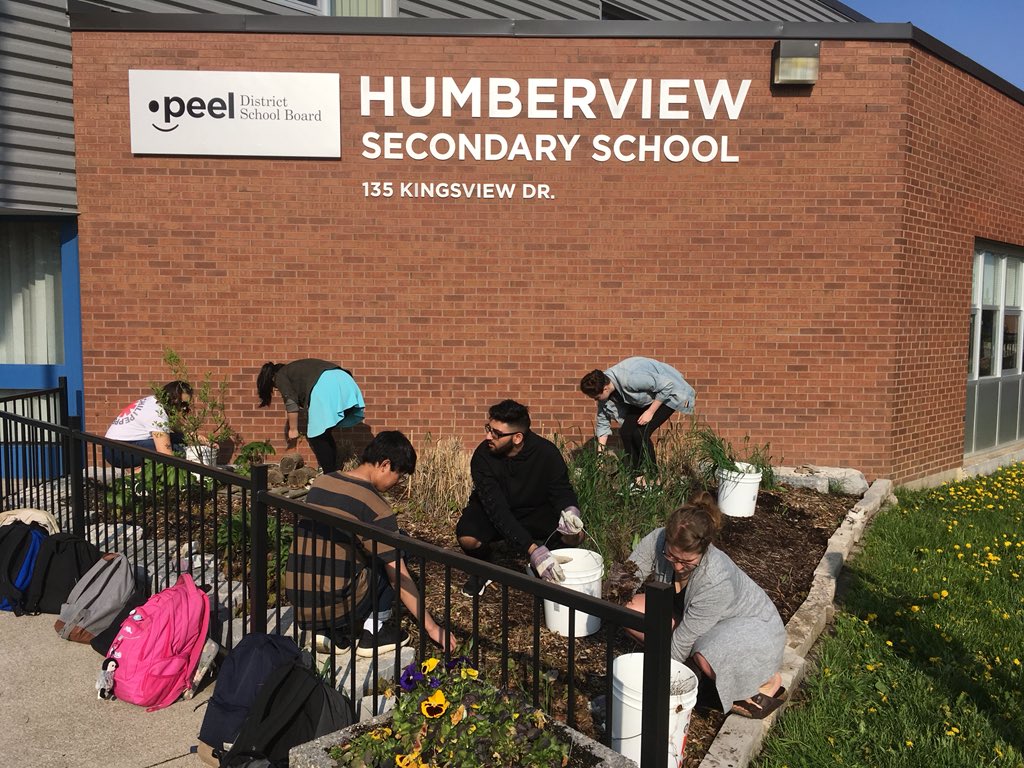 bucknleaf's tweet image. Busy day @HumberviewSS - cleaning our #demonstration #garden, collaborating with @HumberviewGTAC to begin our #FirstNations space, #playing with @TownofCaledon mulch, &amp;amp; presenting a @timbersoutfit paddle to a #SHSM student leader at our year-end dinner! @PeelSchools