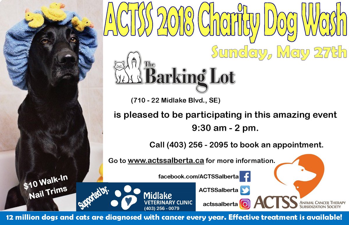 It's not too late! Book your dog wash appointment and you will be supporting animals who are receiving cancer treatment. Call today! 
#fundraiser #cancer #sickpets #helpanimals #yyc #veterinarian
<a href="/ACTSSalberta/">ACTSS</a>