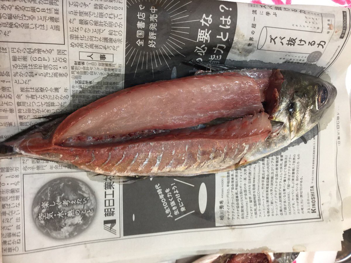 築地仲買人k これからの時期は アジ イワシ が脂がのって格段に美味しくなります いい魚を毎日たくさん揃えてお待ちしております 築地 仲買い 鮮魚 ベッカムの写真載せたらバズった 便乗して商売アカウントに お魚くわえた野良猫