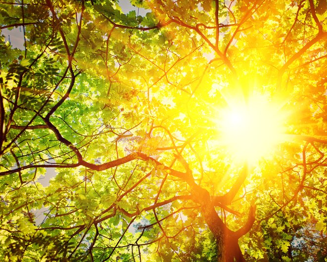 CDCEnvironment's tweet photo. Do you know how many days of #extremeheat your county has? Discover health &amp; environmental data for your county using @CDC_EPHTracking Info By Location tool: https://t.co/G6q5BfPkdJ https://t.co/xbglOTgMd4