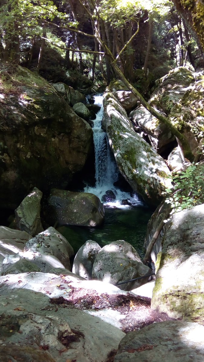 #Mountainside #waterfall -Pelion Greece
#pelion  #landscape #waterfall #mountainandsea  #greece #forest  #mouresi #thessaly #volos #hiking #trekking s #neverstop exploring