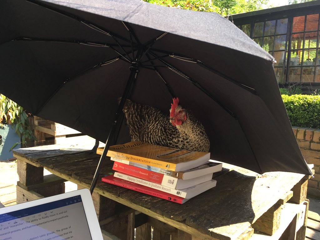 Working and studying at home in the sunshine with some help! #lovemychickens