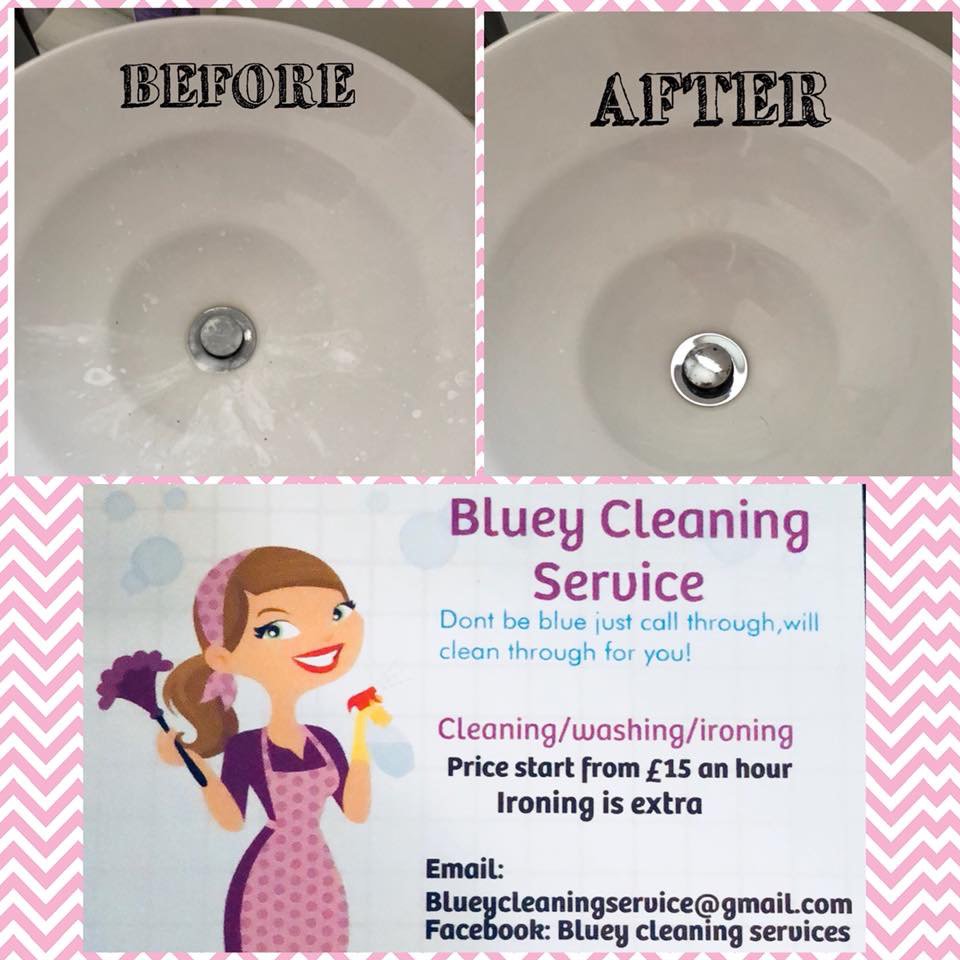 BlueyService tweet picture