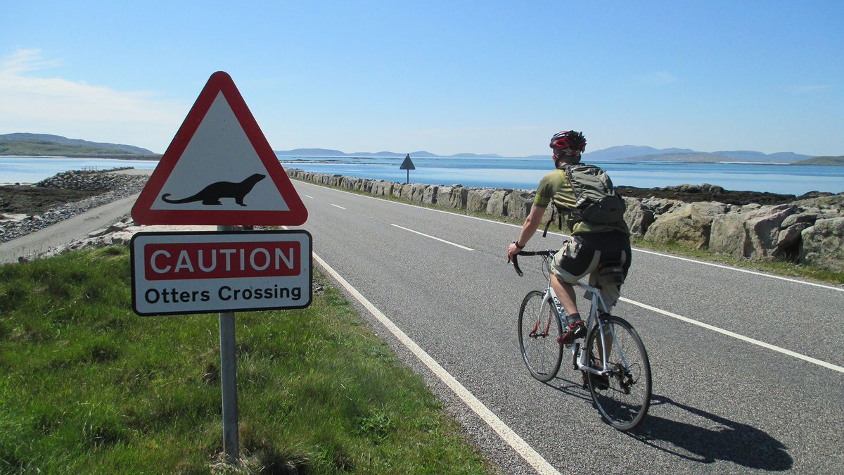 GuidingStar_Adv's tweet photo. #Sotland's World Class Outer Hebrides; a #Wildlife #Cycling &amp; #Adventure paradise! 🙌
https://t.co/p8sRA7WVGW
@VisitScotland @OuterHebs @AdvTravelmag @Intrepid_AdvMag @_Adventuresmag @wildscotland @MrMarkBeaumont @Wild_Scotland @dadventurebase @OAGmag @AnotherEscape @BarraIsland https://t.co/eT5CO1yqzy