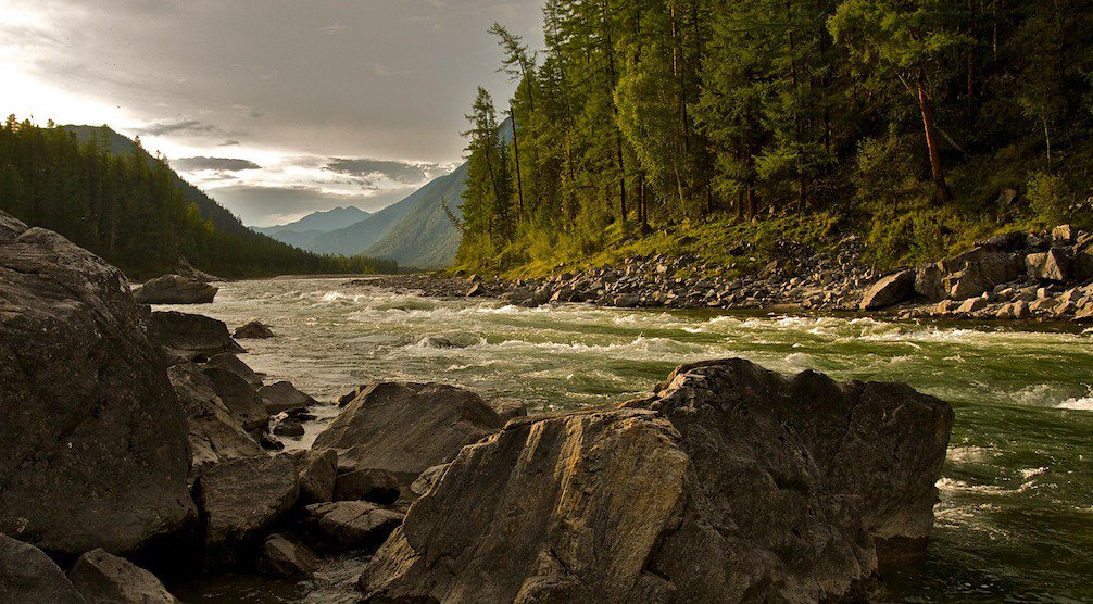 ClimateReality's tweet image. .@EPAScottPruitt&apos;s #CensoringScience rule would “destabilize the last three decades of clean air and water rules” theatln.tc/2JtS2dt  #ScienceNotSilence