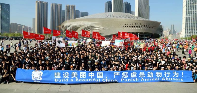 NDLB2016's tweet image. BUILD A BEAUTIFUL CHINA, PUNISH ANIMAL ABUSERS
VSHINE group based in Dalian holding a rally today in China. 
@NDLB2016 partners with VSHINE &amp;amp; we have rescued dogs together. 
nodogsleftbehind.com
Join The Fight To End The Barbaric Dog &amp;amp; Cat Meat Trade in China.
#StopYulin2018