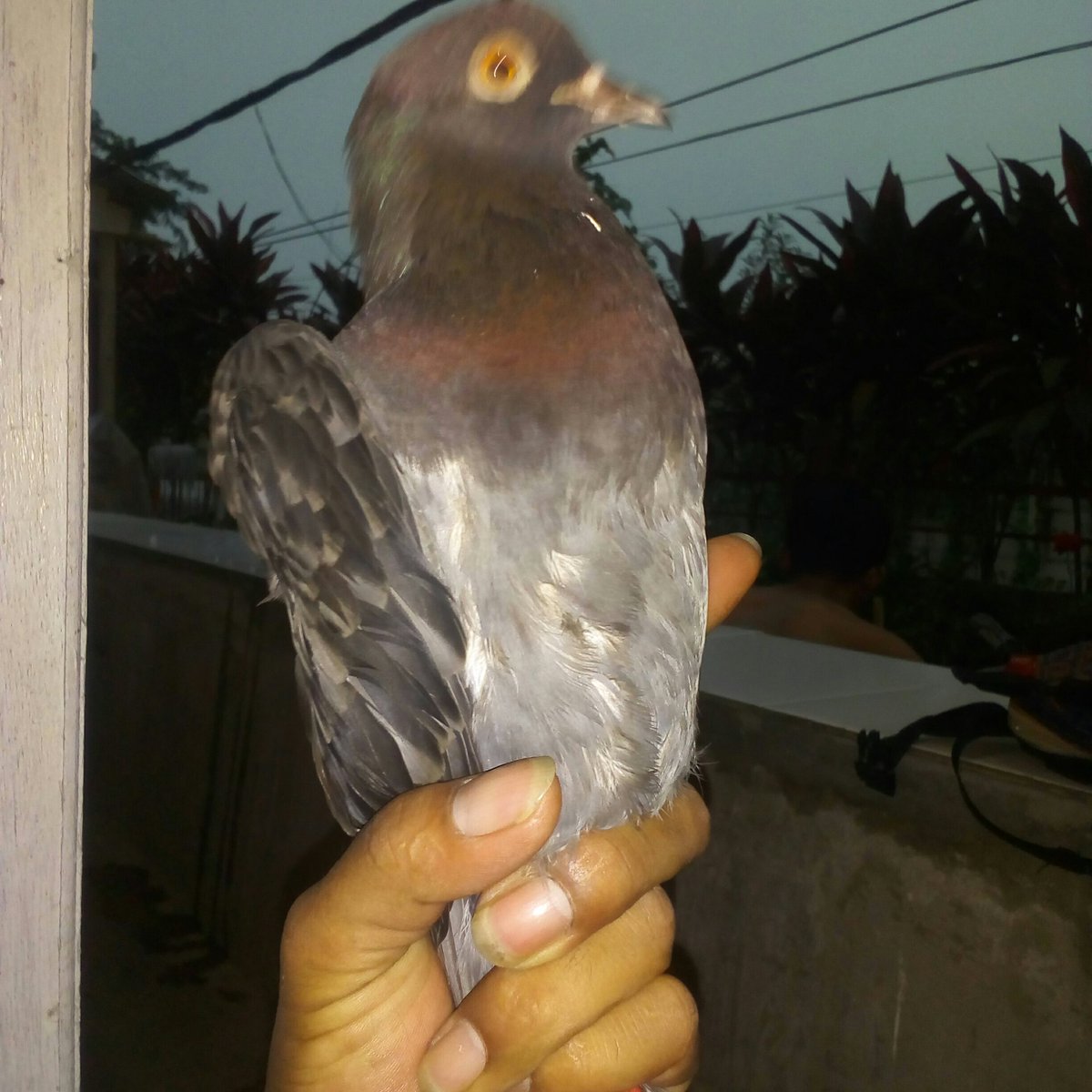 adit35013580's tweet photo. #FotoProfilBaru https://t.co/BmHjHCJvrN