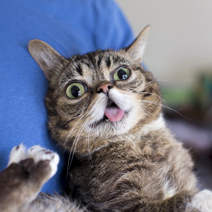 IAMLILBUB's tweet photo. wild BUB https://t.co/AUgEKGNI2z