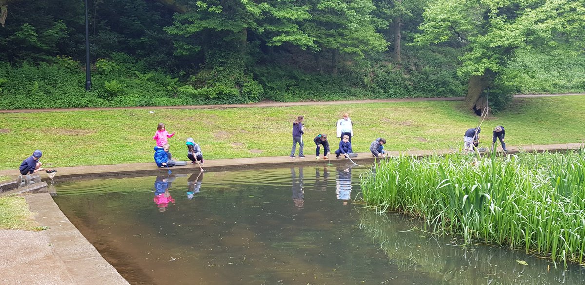 It might have been a bit wet in #pontypoolpark today but it didn't dampen the spirits of <a href="/Griff_Y4/">Year 4</a> one bit. Excellent nature detective skills. Today's catch of the day Newts and Damselfly Nymph. #natureonourdoorstep