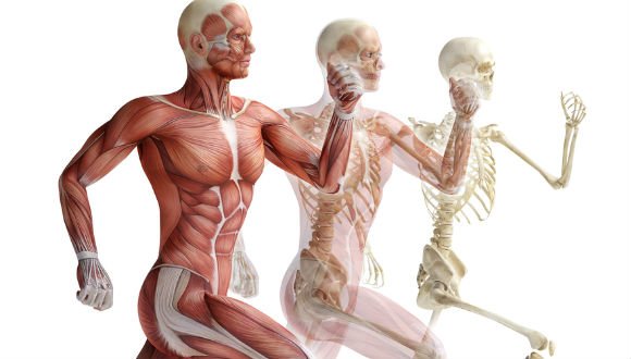 RunnersPilates's tweet photo. Why Every Runner Should Try Pilates - Women's Running https://t.co/7IwGjYFkc6 via @po_st https://t.co/QE7v2awDv8