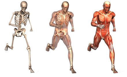 RunnersPilates's tweet photo. Why Every Runner Should Try Pilates - Women's Running https://t.co/7IwGjYFkc6 via @po_st https://t.co/QE7v2awDv8