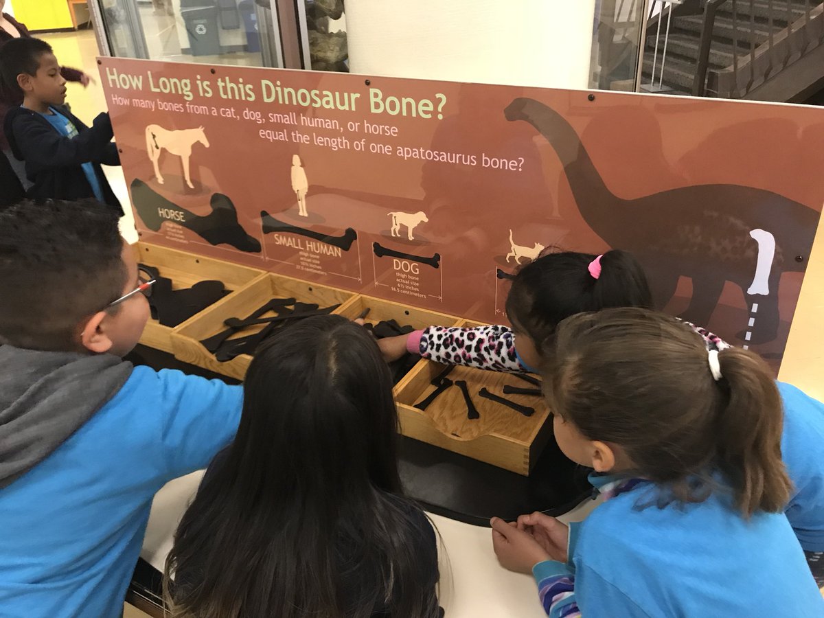 SunTerraceSTEM's tweet photo. First grade had a blast exploring at The Lawrence Hall of Science! @berkeleyscience https://t.co/gx2Z24ZSAP