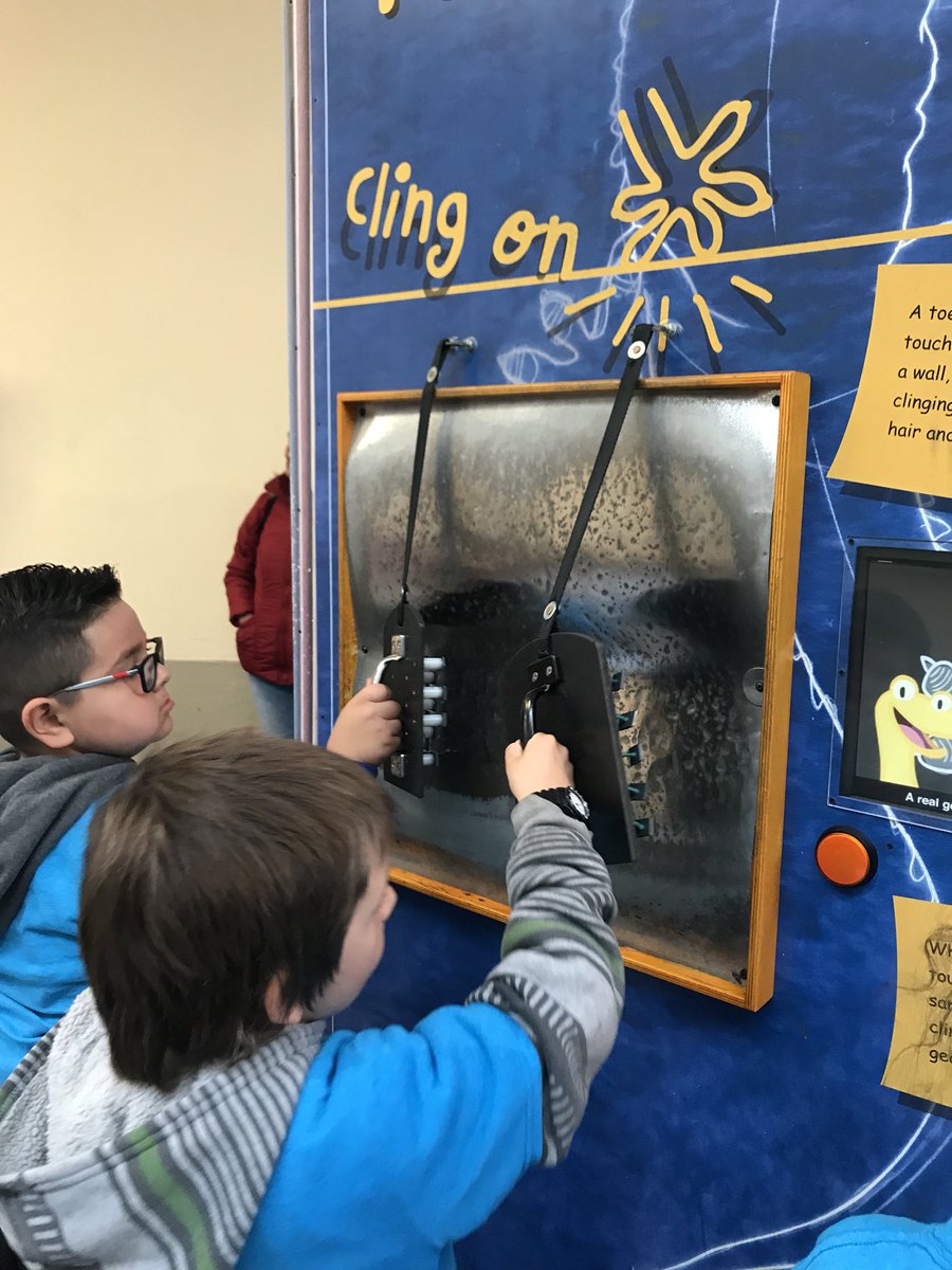 SunTerraceSTEM's tweet photo. First grade had a blast exploring at The Lawrence Hall of Science! @berkeleyscience https://t.co/gx2Z24ZSAP