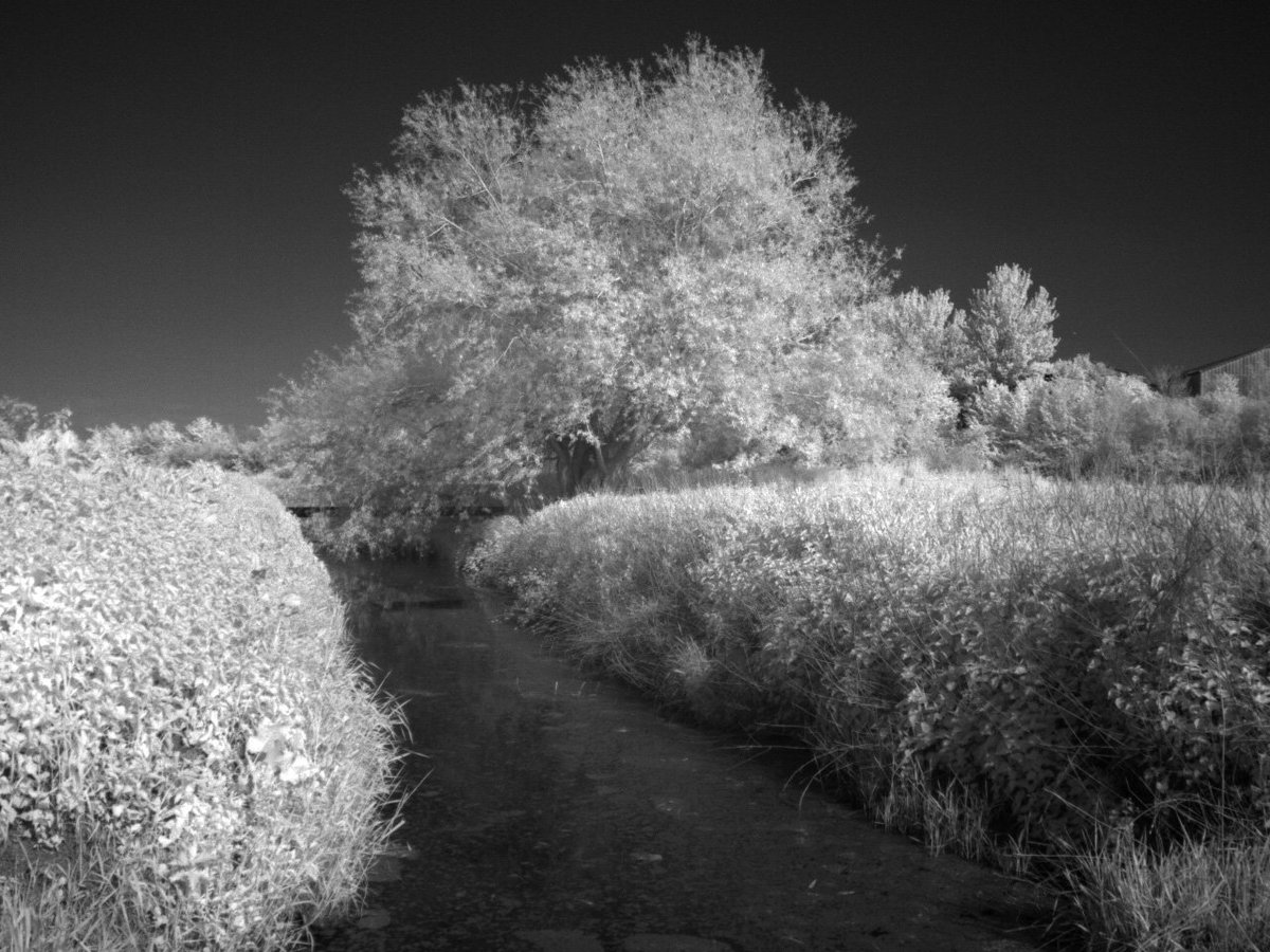 AustinCapsey's tweet photo. First experimental infrared images off our new @MicaSense #RedEdgeM multispectral camera. Might not be designed for traditional landscape photos, but looks great anyway!
Band 5; Band 5/3/2; Band 3/2/1 https://t.co/GNceOl9q4l