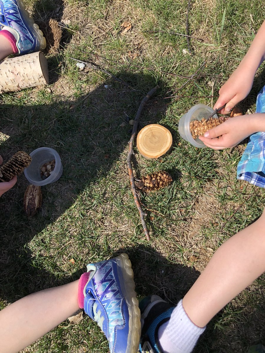 forestkinders's tweet photo. Working with loose parts outside to create and innovate! https://t.co/y0P2sGlAno