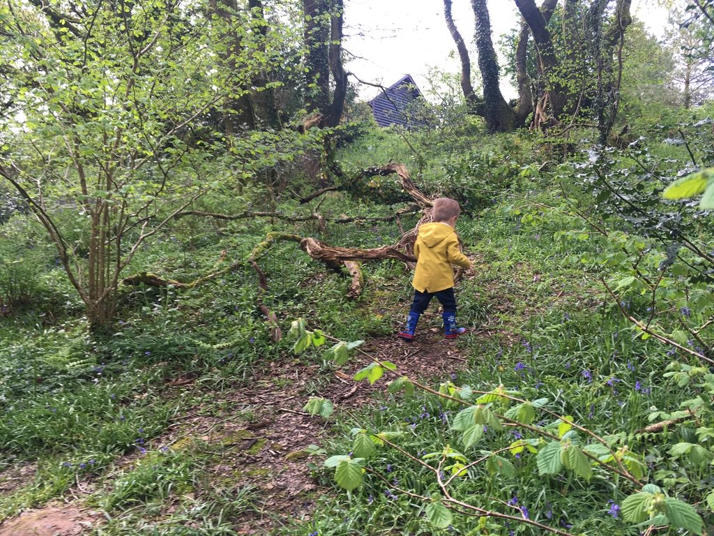 wwlittlestar's tweet photo. You  may have noticed that I’ve been AWOL from the blog and my various  social channels over the past couple of weeks. That’s because we’ve been  enjoying a family holiday at the glorious @Bluestone resort in  Pembrokeshire in Wales. Here’s just a snapshot of what we got up to. https://t.co/eNgr4KgnVG