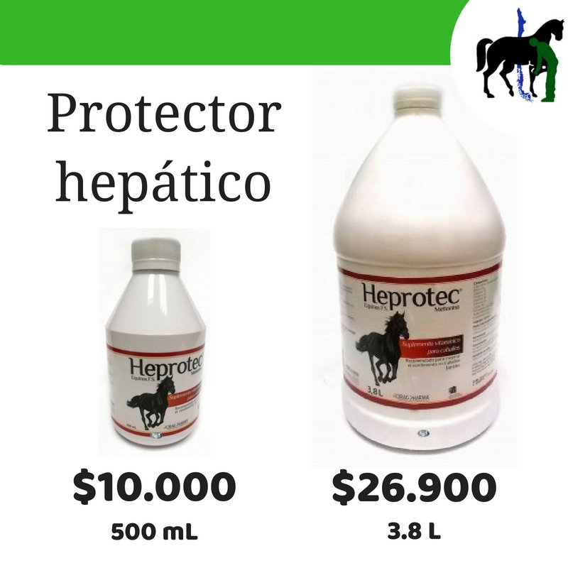 LosPingosLtda's tweet photo. #Protector #Hepático #Heprotec #Equino #Jarabe

Av. Club Hípico 1230, Santiago 🇨🇱
+562 2683 6221
https://t.co/g5X7ifhN8V
ventas@lospingos.cl https://t.co/4CtOH1dn82