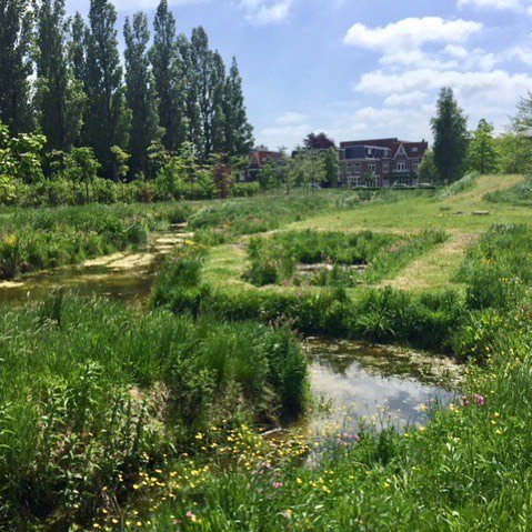 HaarlemCityBlog's tweet photo. Bij de Kweektuin aan de Kleverlaan komt een natuurspeeltuin. En goed nieuws: het doel van de crowdfundingscampagne is gehaald! Op 1 juni wordt de eerste paal geslagen, en 1 juli gaan ze al open! 👌🏼🌿👌🏼 #keepuposted #haarlem #haarlemcityblog https://t.co/1WVdMSWPXn https://t.co/29EyYbiws5