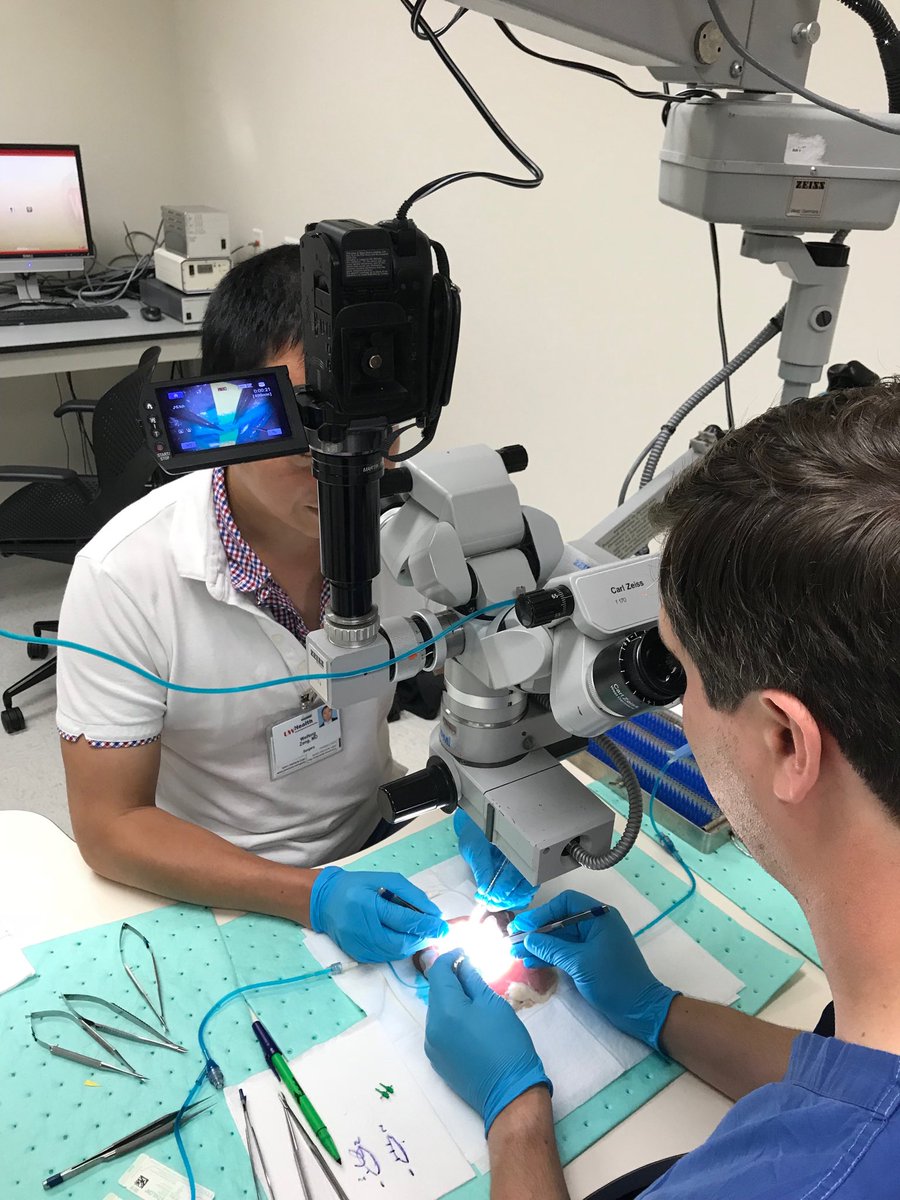 drsamuelpoore's tweet photo. Master microsurgeon Weifeng Zeng training @WiscPlasticSurg resident   @bchristie the art of performing microsurgical anastomosies using the novel “Blue Blood” microsurgery simulator. #microsurgery #PlasticSurgery #ilovemyjob #PeripheralNerve #poorelab https://t.co/HPAjRqw4ma