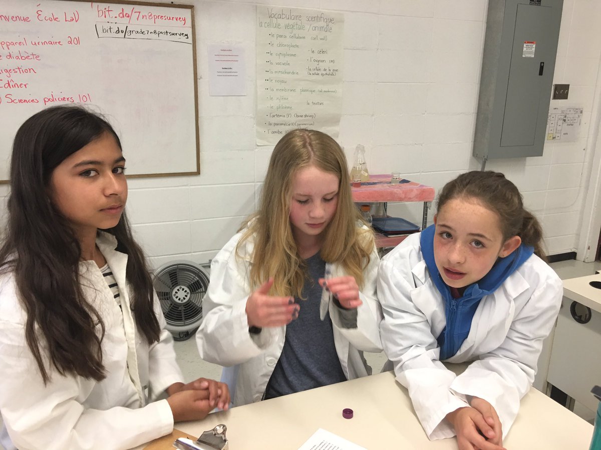 WSDICSCFI's tweet photo. Le diabète c'est quoi? Analyser "l'urine". Apprendre au sujet de l'appareil urinaire. @EcoleLaV @WinnipegSD @KristinMelnyk @ruthschappert7 https://t.co/P5CwZR9Gzh