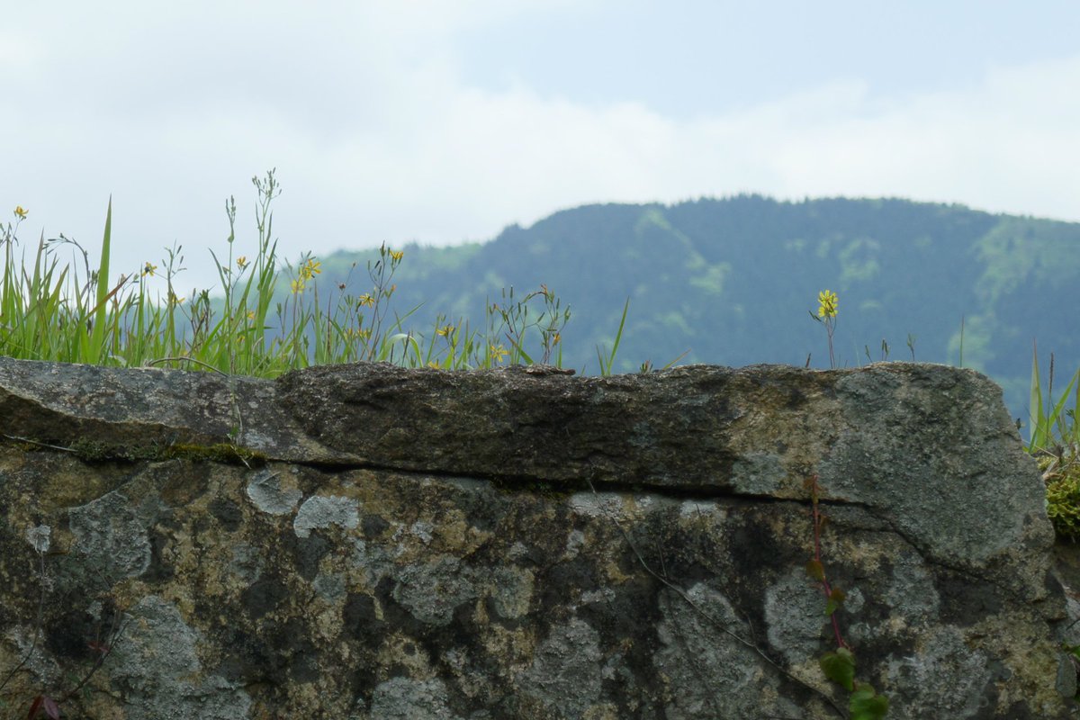 もー V Twitter 国破れて山河あり 城春にして草木深し 竹田城
