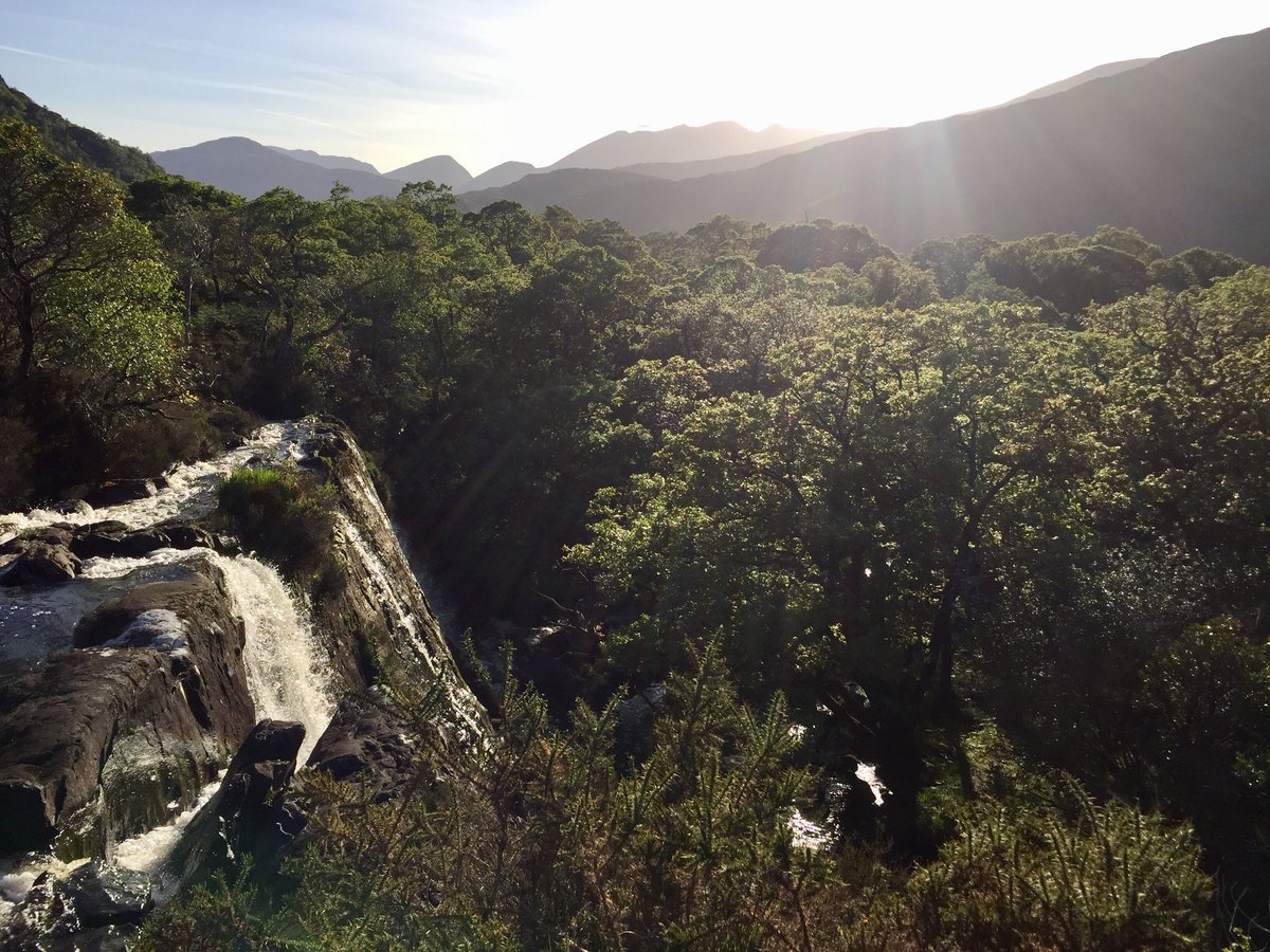 Sun beating down on the cascade at Tower Wood this evening. The ground is still soft underfoot in parts but well worth a visit before the ferns get high. 

Find out more about Tower Wood: killarneyguide.ie/tower-wood/

 #lovekillarney