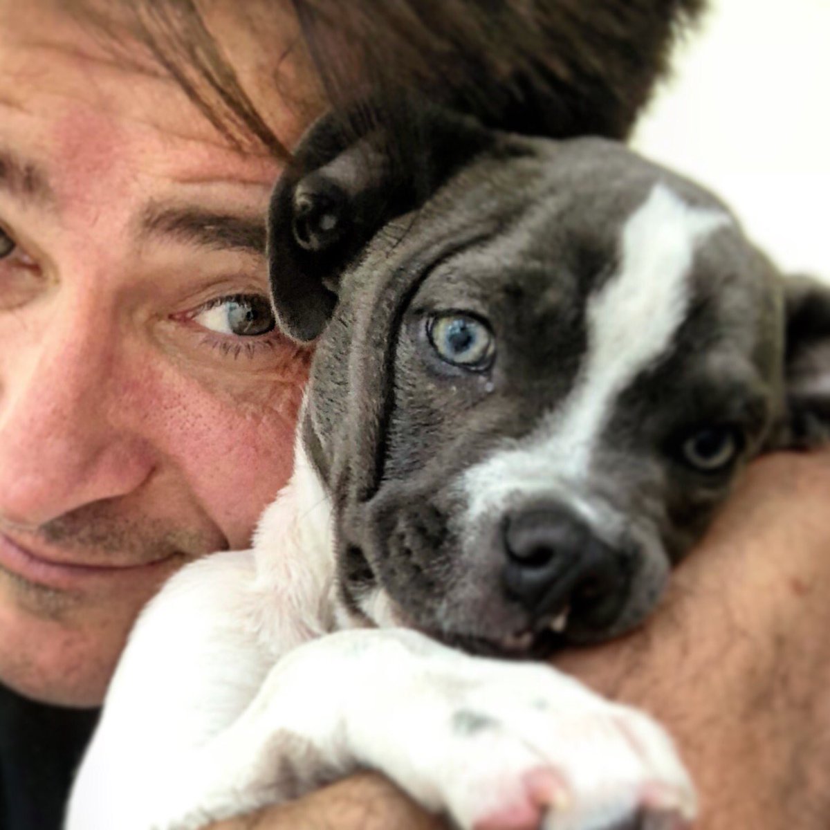 goranvisnjic's tweet image. Can you imagine my dog Lefty on someone’s dinner plate...?!  In Indonesia, thousands of dogs are stolen from their owners and killed for their meet...  Please join me and @HSIGlobal  for the #DogMeatFreeIndonesia campaign !  hsi.org/stopthecruelty