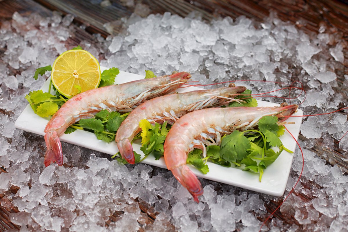 threehandsfish's tweet photo. THF Community, we'll be offering a Memorial Day special for Key West Pink Shrimp, running from May 26th - May 28th. Buy 5-10 lbs and get $1.00 off the regular price, buy 10+ lbs and get $2.00 off.

Stop by to stock up on your Key West Pink Shrimp for the holiday weekend! https://t.co/deGPEQydhC