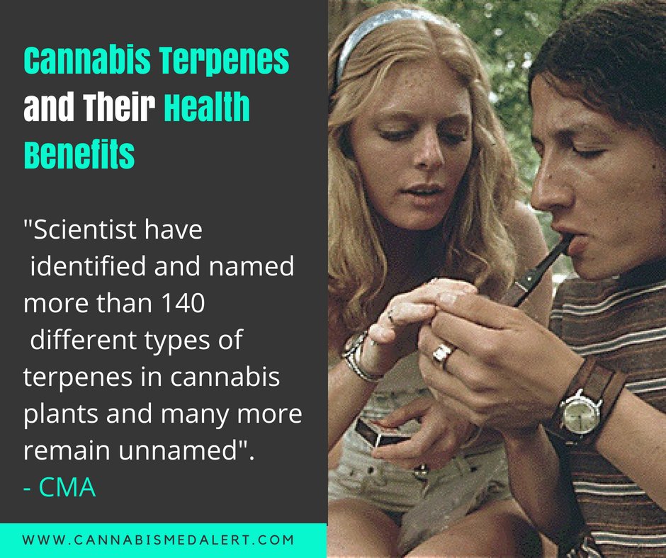 CMedAlert's tweet image. What's your favorite Terpene? #Terpenes #medicalCannabis #MJTerpenes #CBDTerpenes 

Read here: bit.ly/MJterpenes
Sign up for VIP Member List: bit.ly/cmavipsign