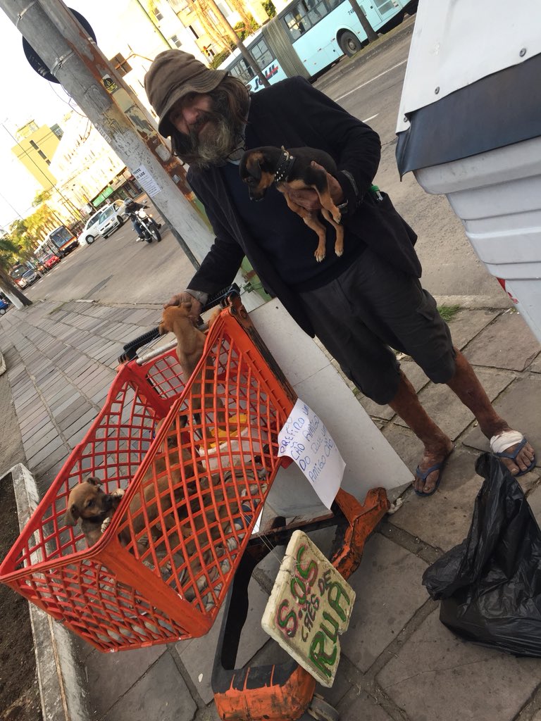 GabiTomazini's tweet photo. Gnt esse é o maktub ele cuida de todos os bixinhos que aparecem na rua, todo dia ele passa aqui pela loja pedindo apenas ração pros seus babys mas percebi que ele não tem roupas de inverno então perguntei e ele confirmou.. pf qm poder ajudar com alguma coberta ou roupas de frio https://t.co/YwPPr7cix2