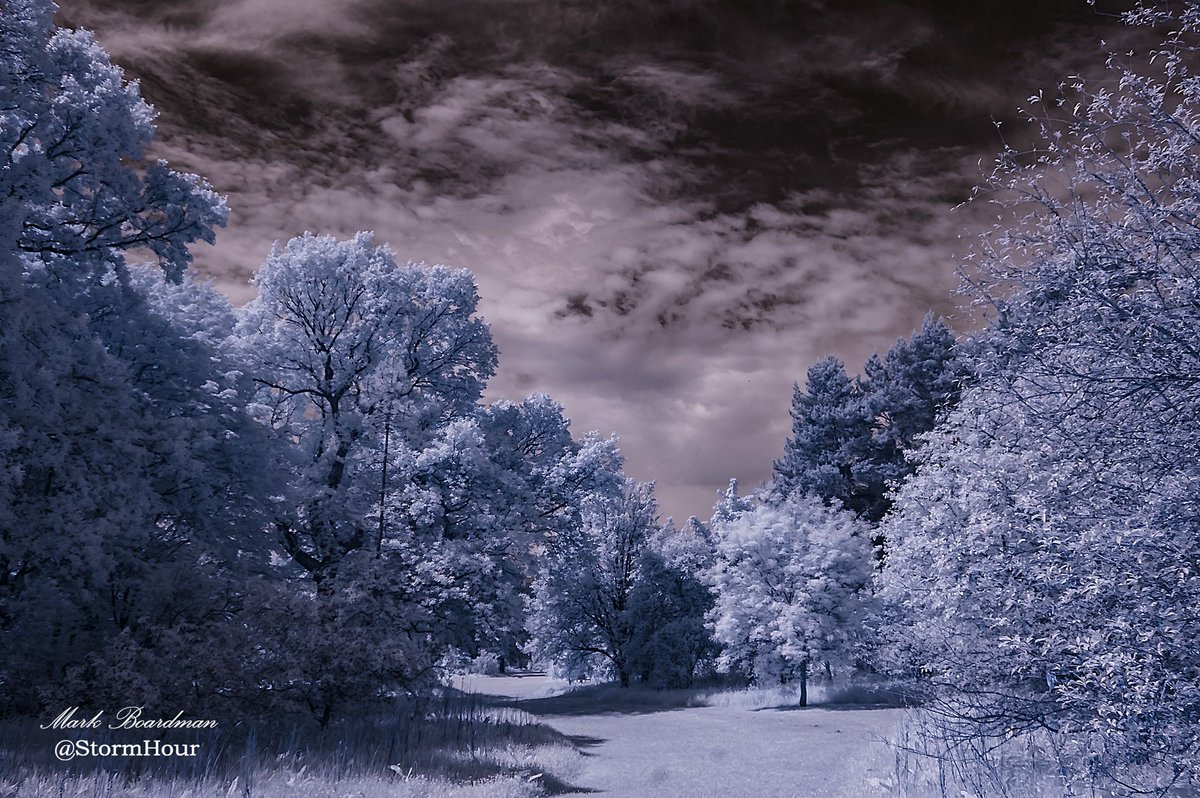 StormHourMark's tweet photo. Taken in the gardens at Jodrell bank. Faffing about with infrared. #Macclesfield https://t.co/qBZDsxxBXI