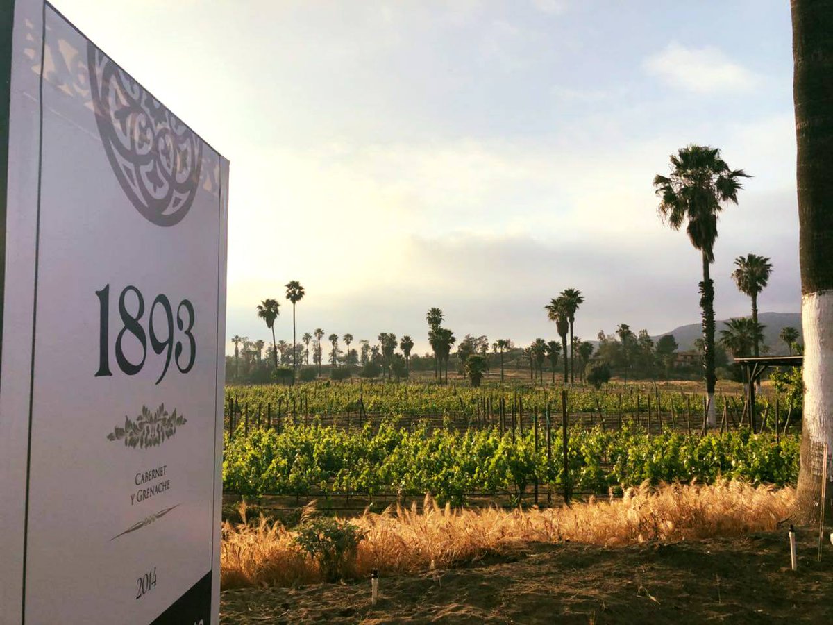 Disfruta de la tranquilidad y belleza 😍en un sólo lugar ¡Conoce Rancho Tecate!🍇 Firma✍️ tu terreno con $395 USD. regístrate aquí:ranchotecate.mx/encinos/