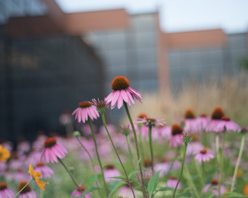 cedarville's tweet image. “The rain and the snow come down from heaven, and do not return to it without watering the earth and making it bud and flourish” (Isaiah 55:10). April snow brings May flowers? God brings life through all kinds of Midwestern weather @cedarville