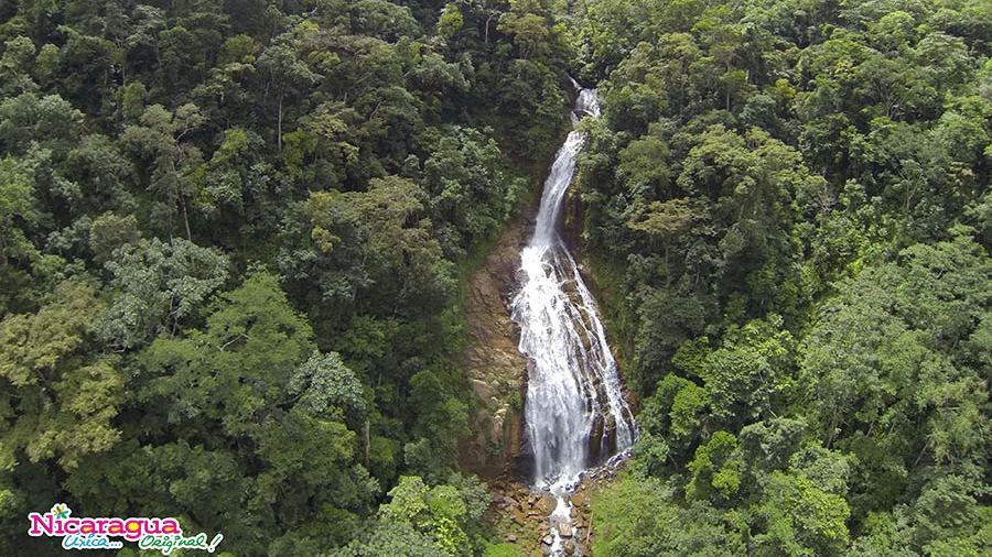 visitnicaragua's tweet photo. Murra, municipio eminentemente rural, bendecido con lo que es considerada la cascada más alta de #Nicaragua, el salto El Rosario. “A mí me han dicho que es el más alto de Centroamérica” comenta don Juan, orgulloso por ese destino único que cuida hace años.
https://t.co/kJuuq8X6ge https://t.co/3u1jgca79q