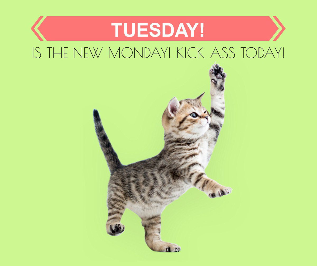 #kickasstuesday