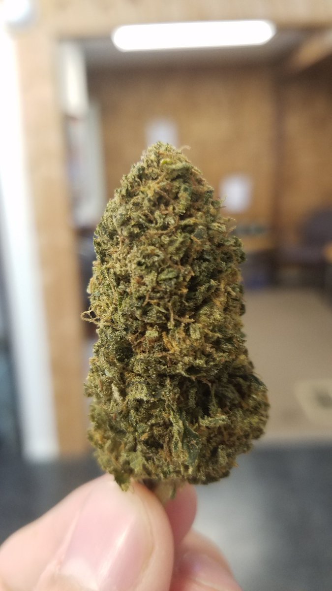 GreendoorBangor's tweet photo. @wormjockey317 Unfortunately we don't, but if you stop by we have some really tasty Cherry Pie! https://t.co/Undw4snRVp