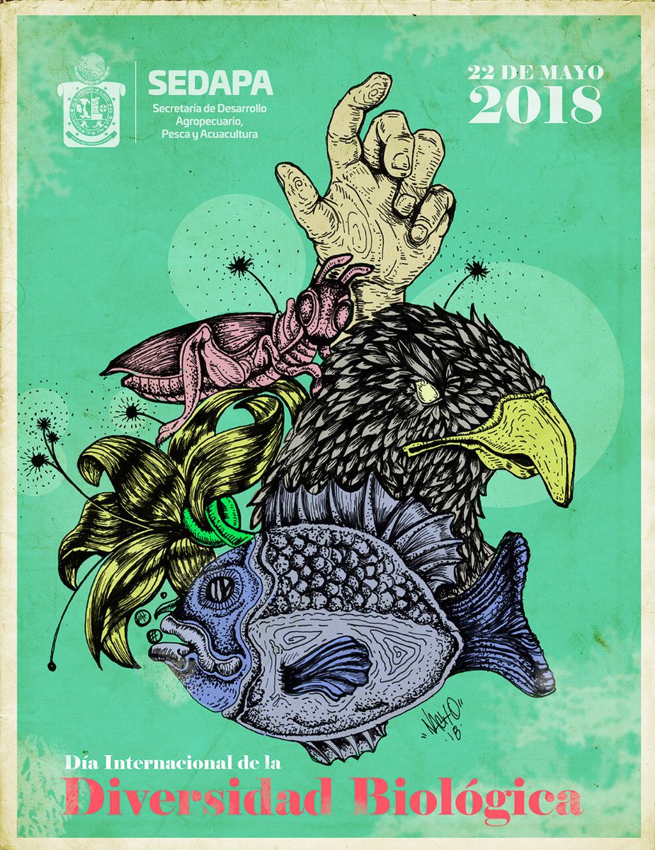 SEFADER_GobOax's tweet photo. #Oaxaca es uno de los estados con mayor biodiversidad, cuidemos de ella para que las futuras generaciones hereden un planeta sano. 
22 de Mayo #DíaDeLaDiversidadBiológica 🌎🦅🐟🦗🌻🌿☝🏼
@GobOax @PROFEPA_Mx https://t.co/BT6xh6lR79