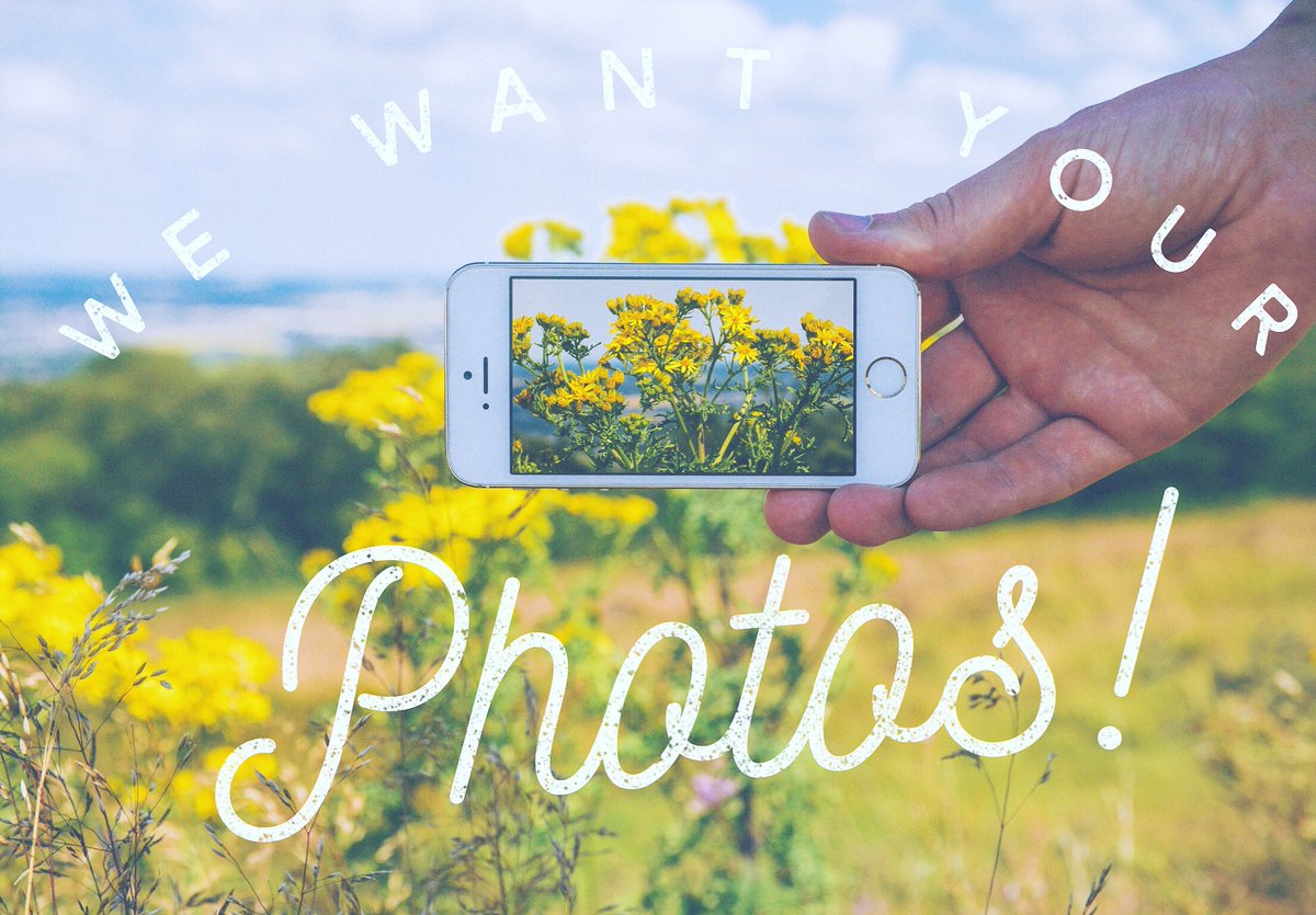 ReflectionsMag's tweet photo. 📷 📱 ☀️ Last chance to get those hashtags in! On Thursday we’ll be picking our featured Instagrammers for June’s magazine. If you’d like a chance to get your Derbyshire pics in print simply #reflectionsmag on your Instagram shots & we’ll feature selected entries. https://t.co/a7WeP2FUG2