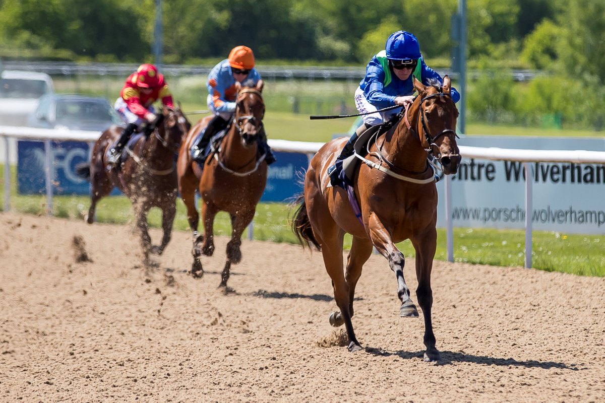 AgaKhanStuds's tweet photo. Hat-tricks for #CharmSpirit and #SeaTheStars. Read more about their respective progeny's successes here : https://t.co/VygjoUfYoZ. #Sireonfire #Sourceofwinners #SourceofStakeswinners https://t.co/I4IVoBKHoG