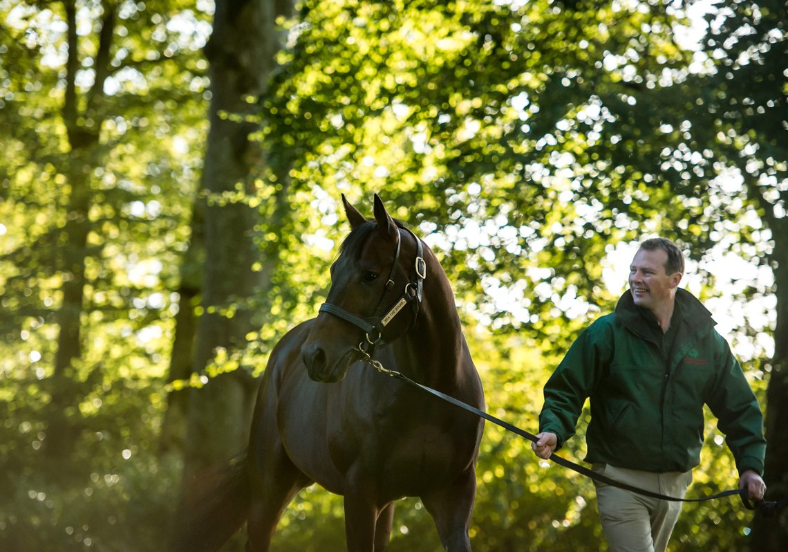 AgaKhanStuds's tweet photo. Charm Spirit et Sea The Stars brillent en Angleterre. Cliquez ici pour en savoir plus sur les succès de leurs produits : https://t.co/ABoEIJAhfp. #Sireonfire #Sourceofwinners #SourceofStakeswinners https://t.co/QmvvCBEMeR