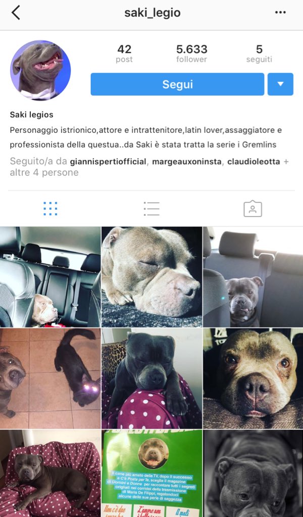 TSpazzatura's tweet photo. E poi scopri che anche Saki di “C’è posta per te” ha molti più followers di te!
#maiunagioia #saki #uominedonne #cepostaperte #mariadefilippi #canesocial https://t.co/OHwQ1SdeMM