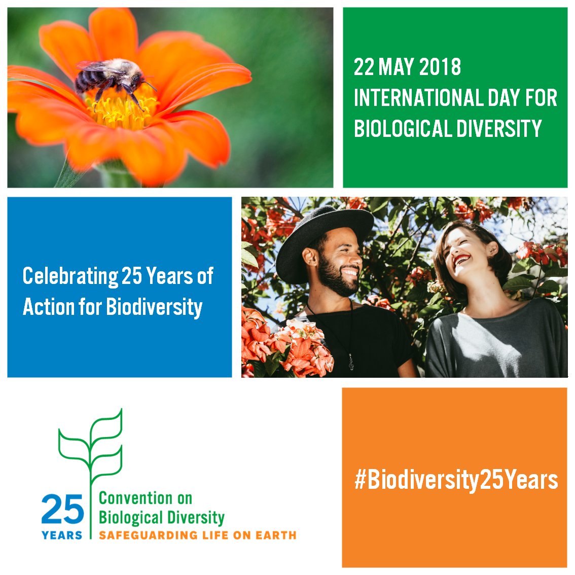 UNBiodiversity's tweet photo. Happy #IntlBiodiversityDay! We celebrate nature's beauty &amp; wonder, and all the people working hard to safeguard it. Much progress has been made, but there’s still much to do. Let’s redouble efforts to preserve Earth, our only home #Biodiversity25Years https://t.co/syCDXWTNAi https://t.co/QIXwxFU9Cw